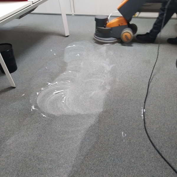 CLEANING PRO SERVICE — 6
