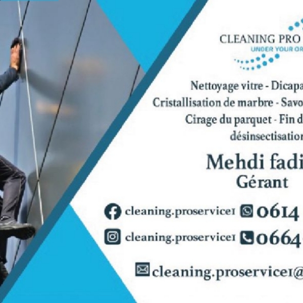 CLEANING PRO SERVICE — 9