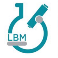 LBM 1 — 1